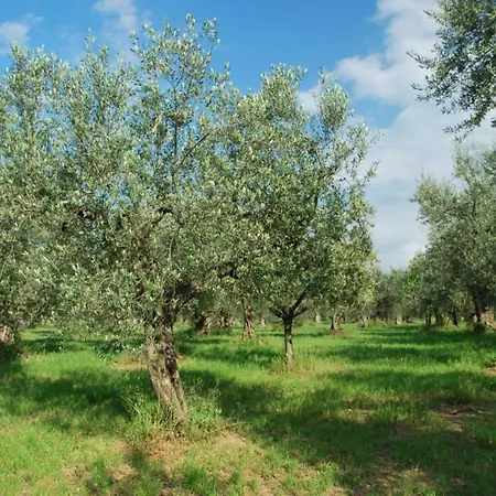 Apartamento 6 Tocco da Casauria